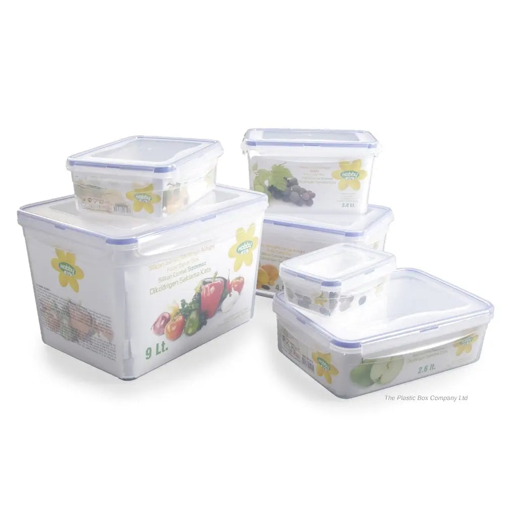 2.4 Litre Rectangular Plastic Food Box Clip Lid