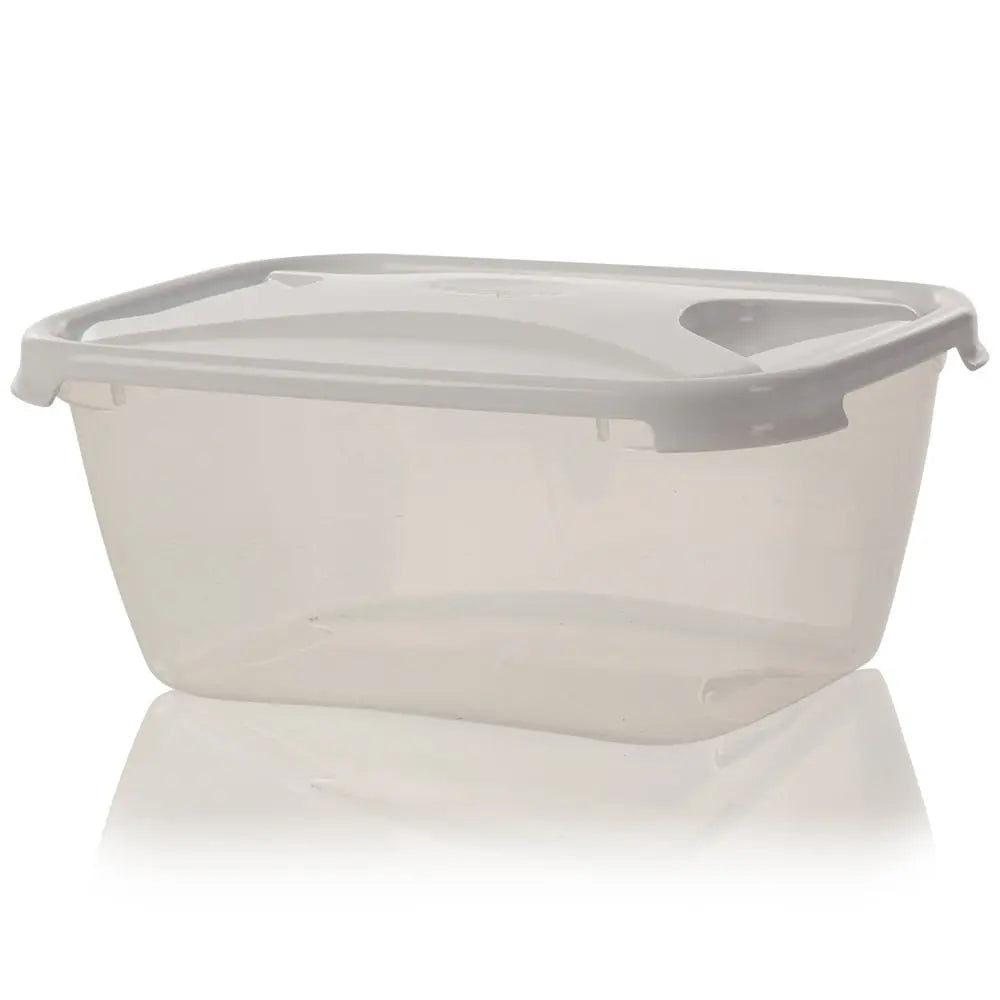 6 litre Cuisine Rectangular Plastic Food Box Wham Storage