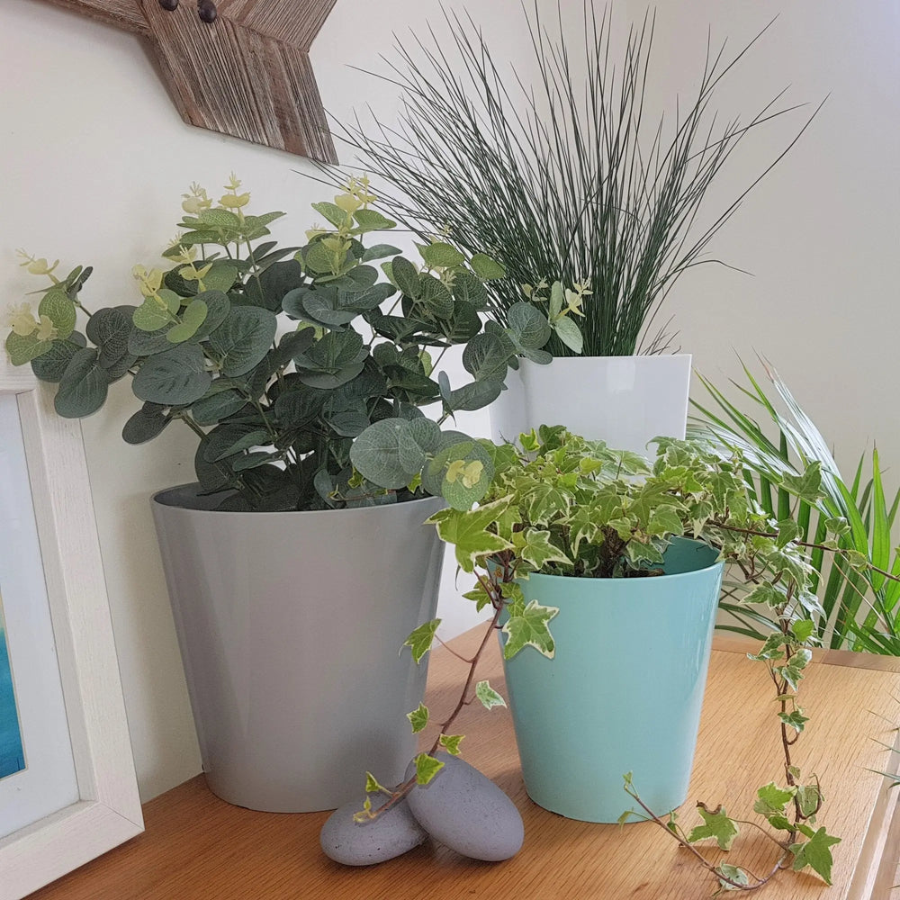 Studio 14cm Round Indoor Plastic Planter Wham Storage