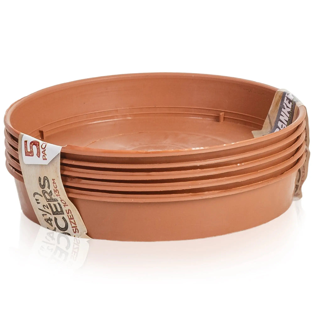 Set of 5 - 11.5cm Terracotta Saucers Strata
