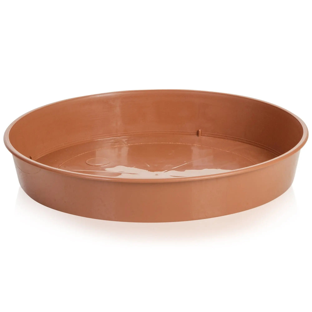 16.5cm Terracotta Saucer Strata