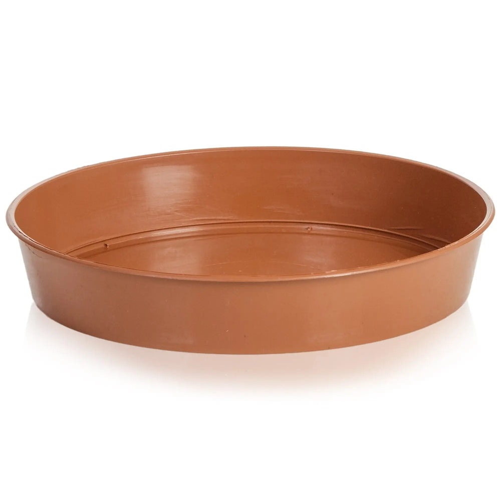 19cm Terracotta Saucer Strata