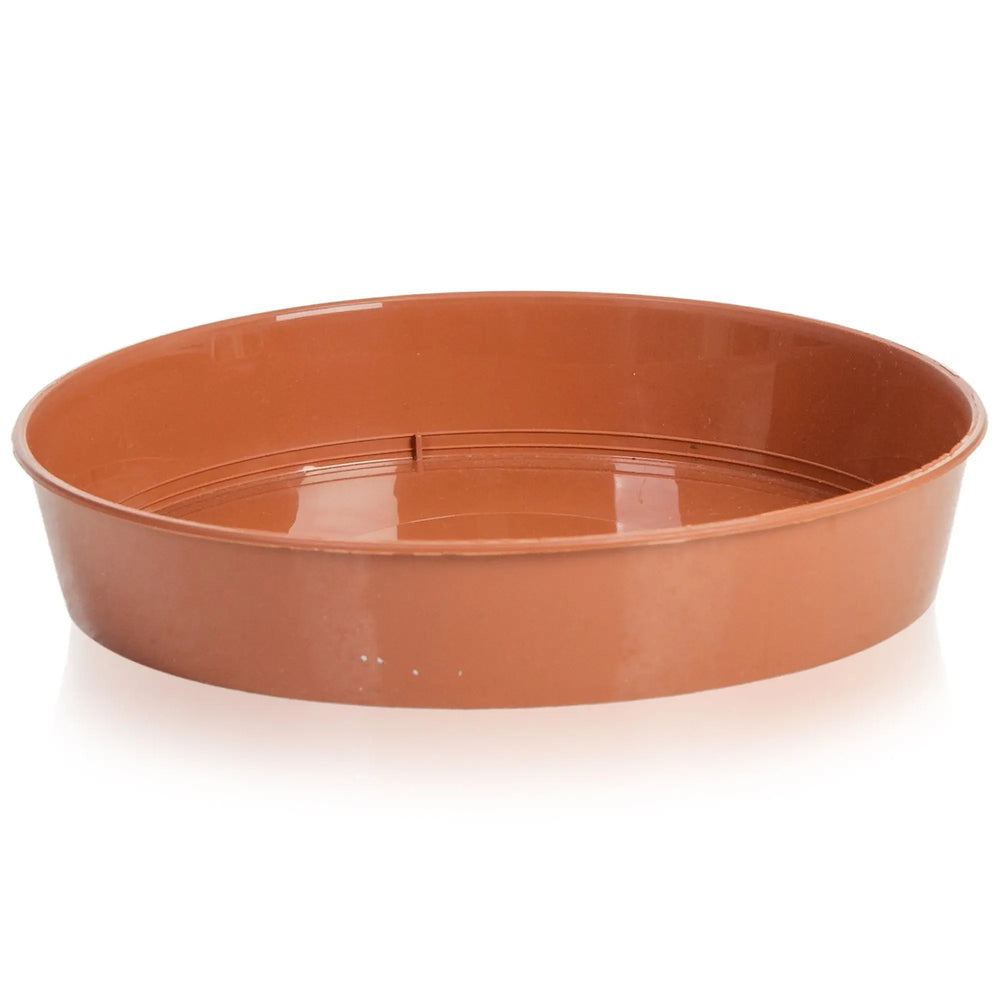 24cm Terracotta Saucer Strata