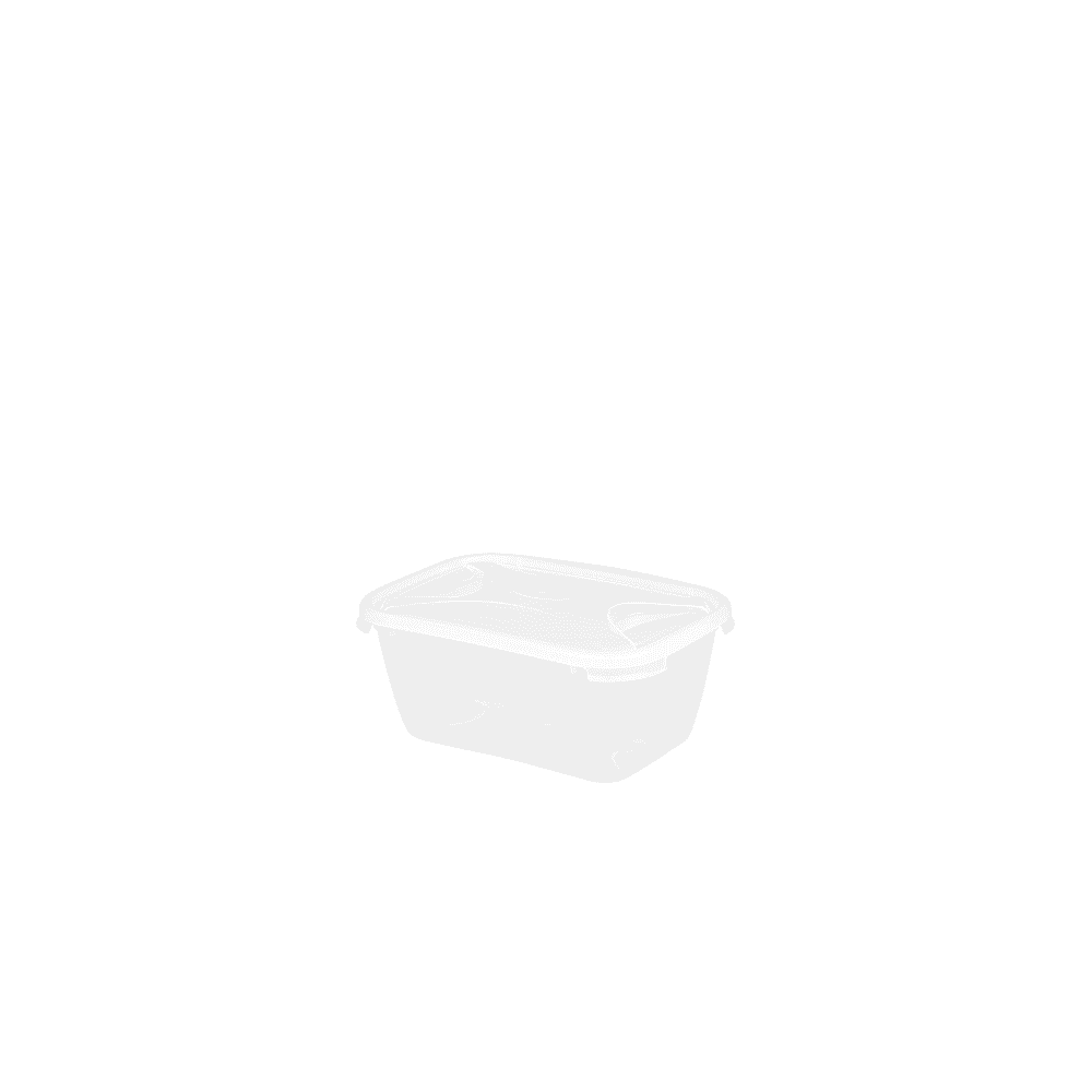 2 Litre Rectangular Food Box