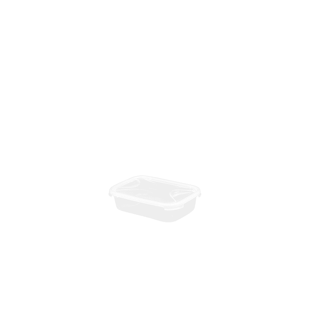 800ml Rectangular Plastic Food Box with Lid Wham Storage