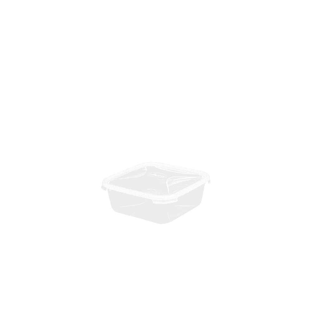 1.8 Litre Square Shallow Plastic Food Box with Lid Wham Storage