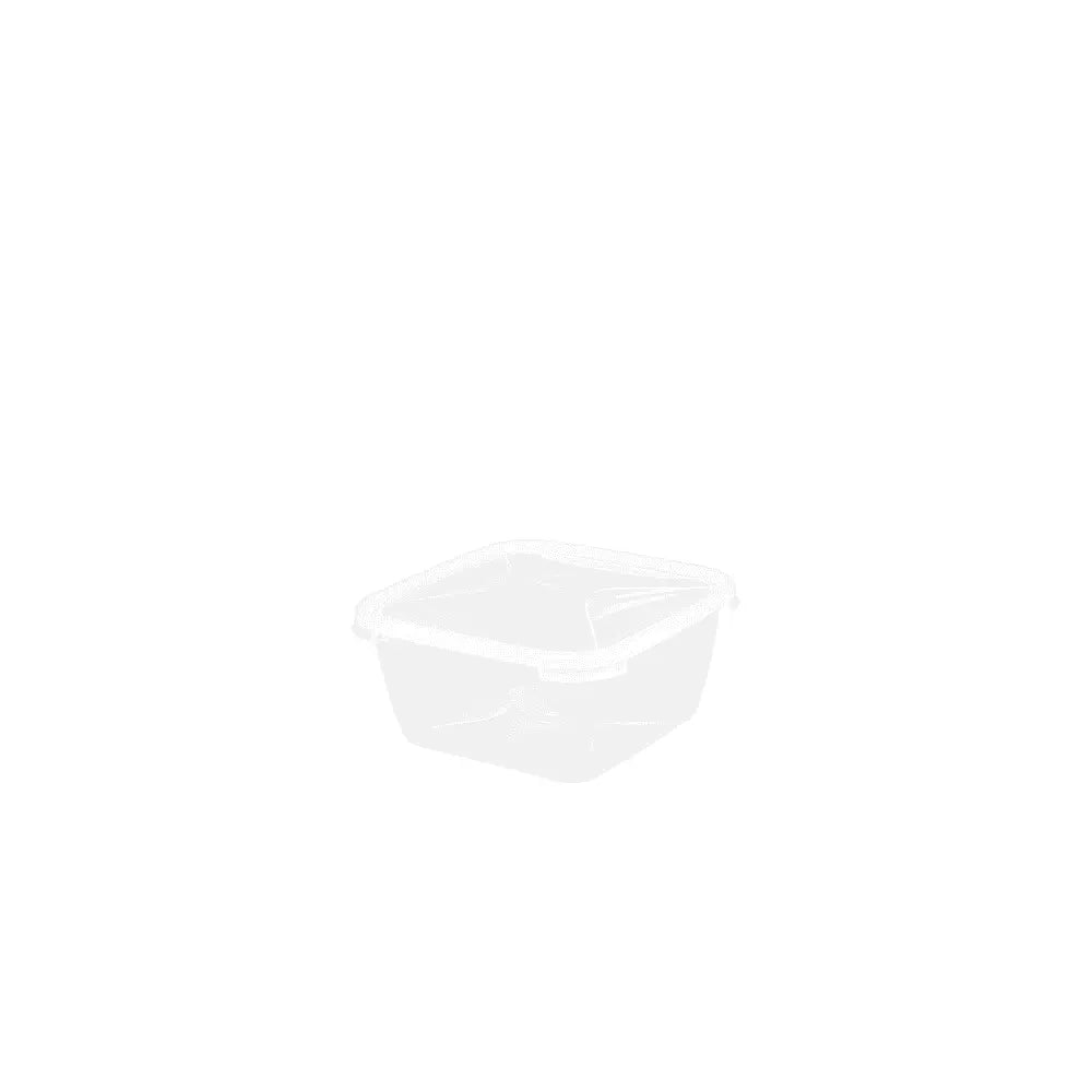 2 litre Square Cuisine Food Box with Lid Wham Storage