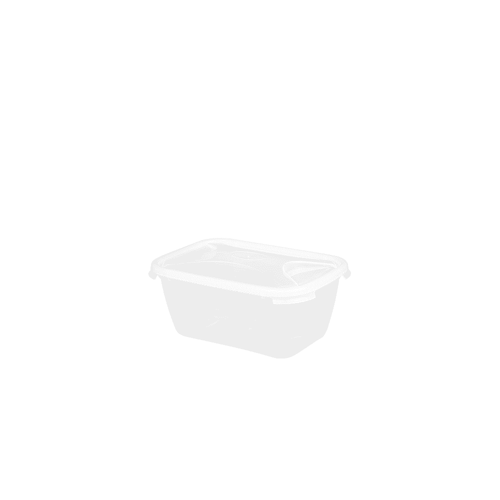 3.6 litre Cuisine Rectangular Plastic Food Box Wham Storage