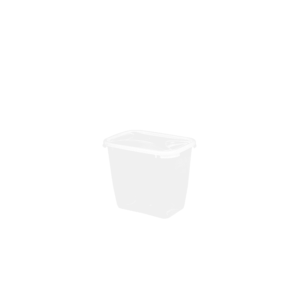 2.4 Litre Cuisine Deep Rectangular Plastic Food Box Wham Storage