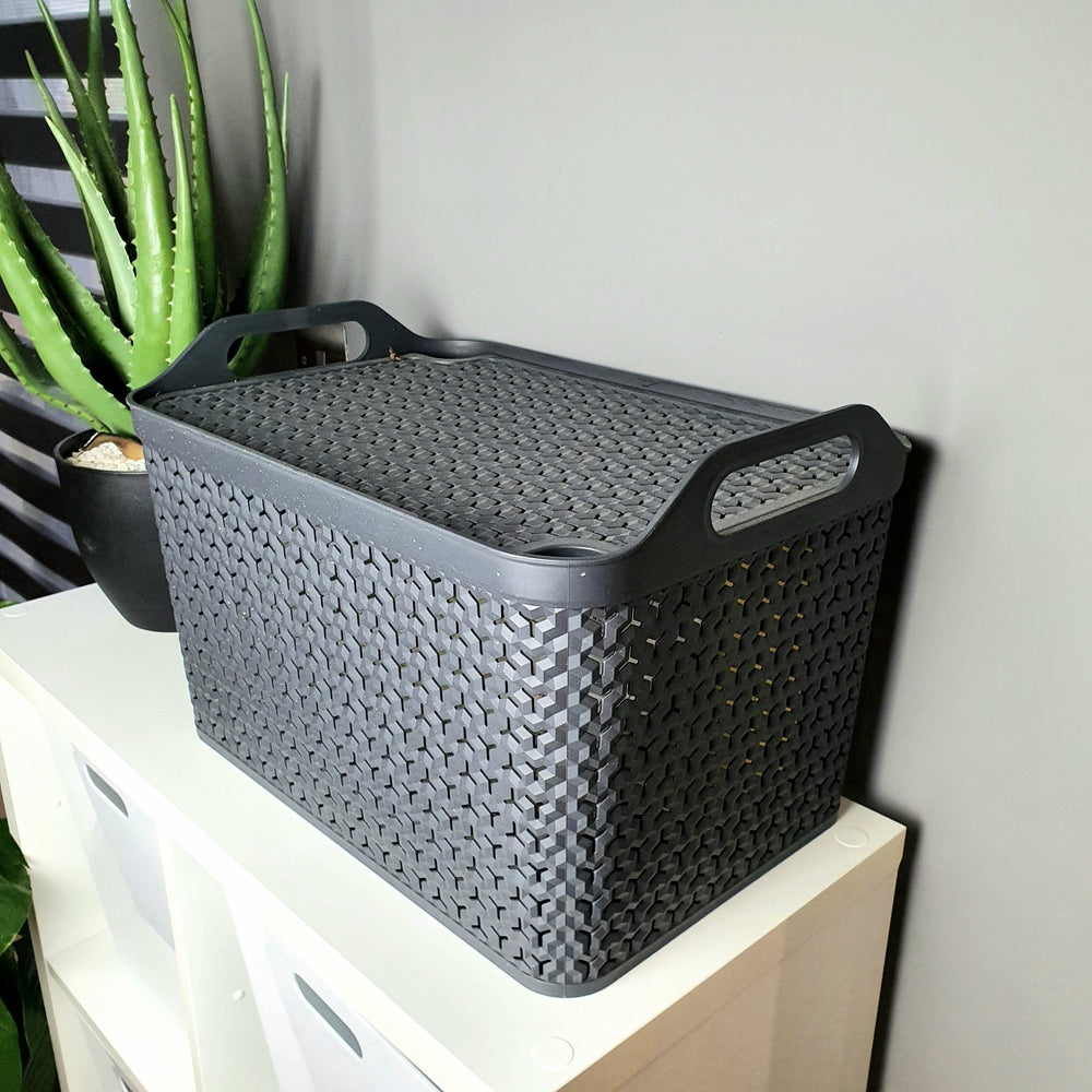 Medium Urban Style Plastic Storage Basket with Lid