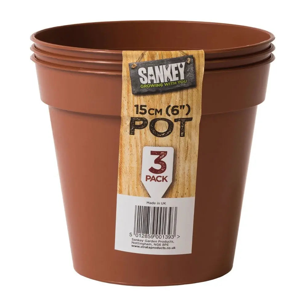 Set of 3 - 15cm Terracotta Grow Pots Strata