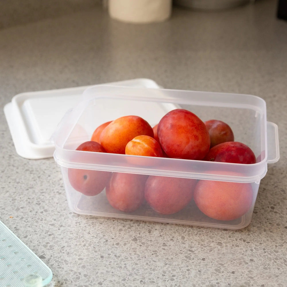 Studio 1 Litre Plastic Rectangular Food Box Wham Storage