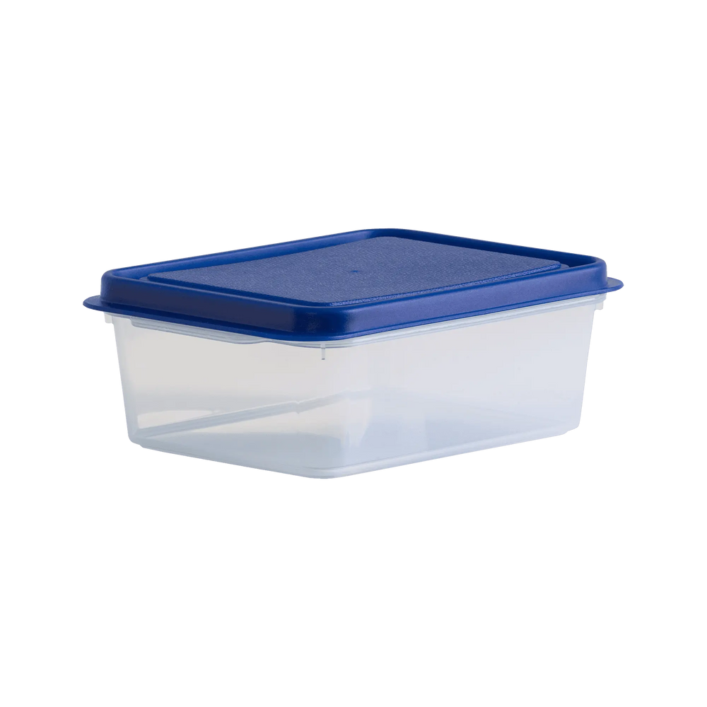 Studio 1 Litre Plastic Rectangular Food Box Wham Storage
