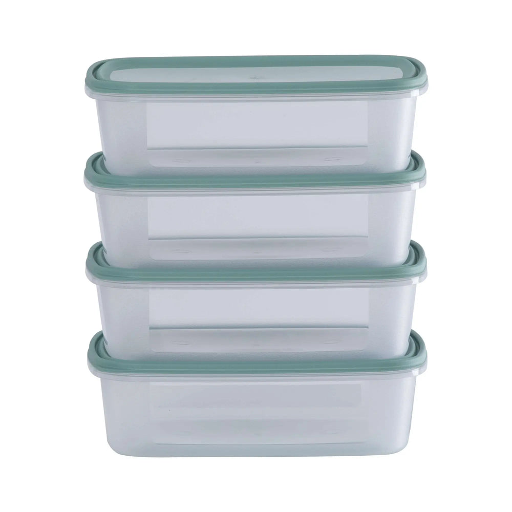 Set of 4 Everyday 1 Litre Plastic Food Boxes with Lids Wham Storage