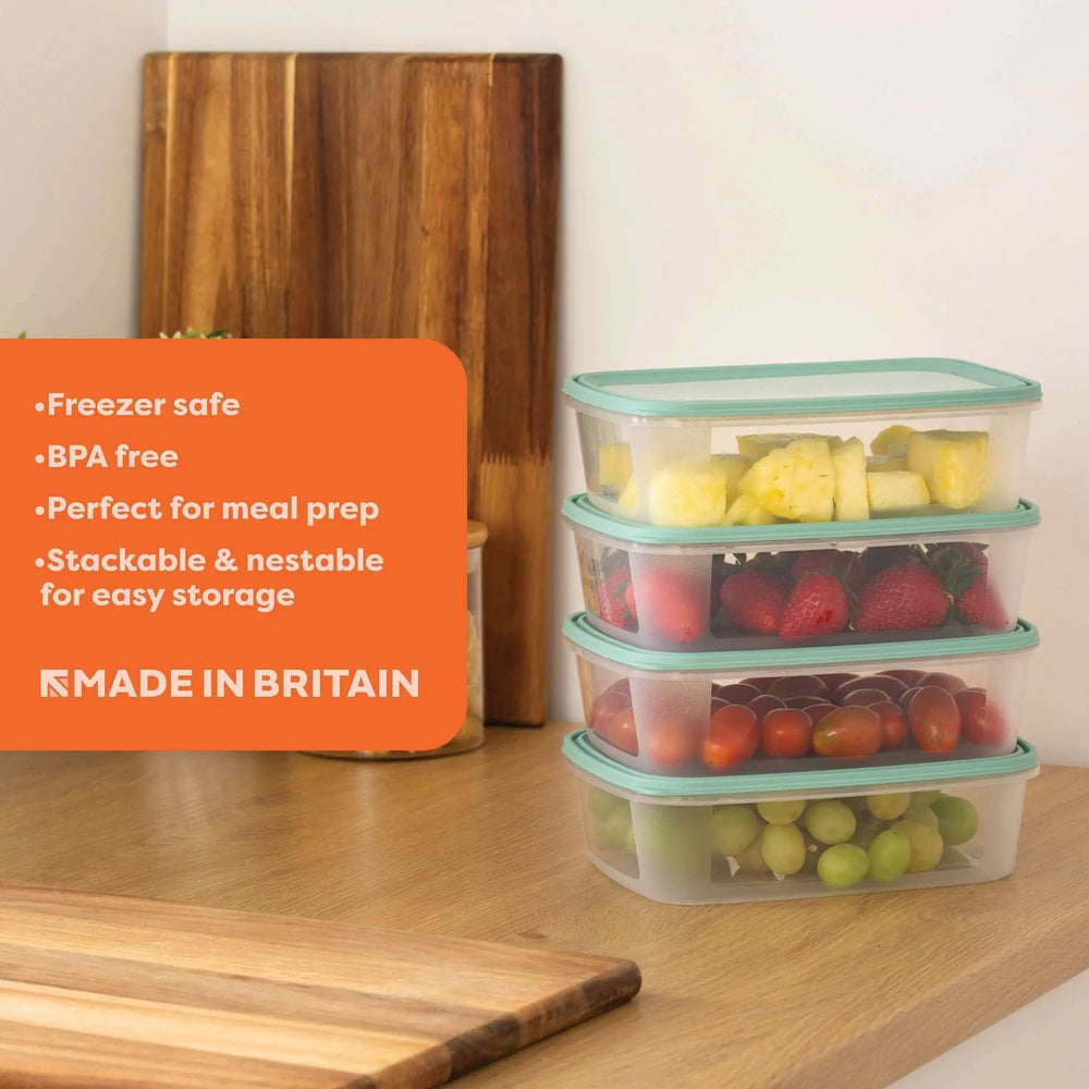 Set of 4 Everyday 1 Litre Plastic Food Boxes with Lids Wham Storage