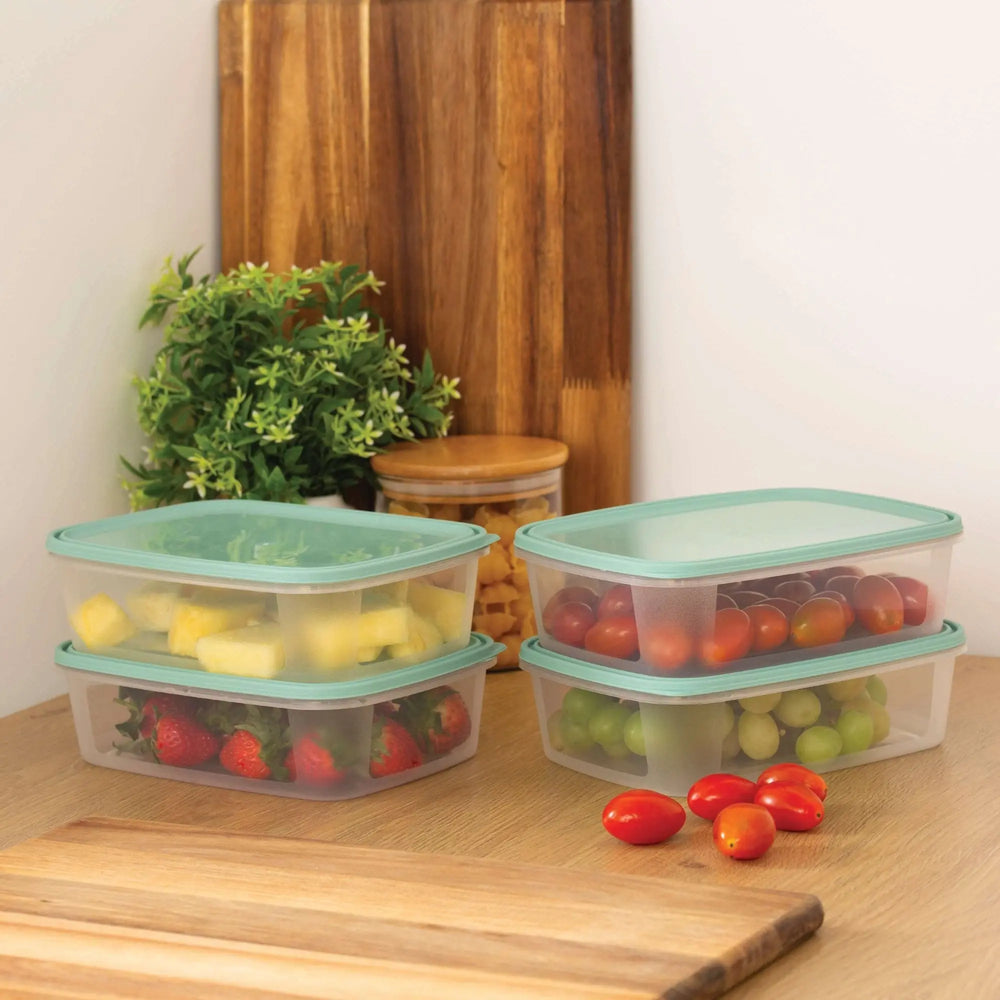 Set of 4 Everyday 1 Litre Plastic Food Boxes with Lids Wham Storage