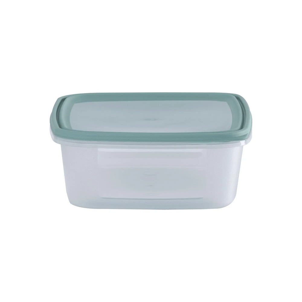 Set of 4 Everyday 1 Litre Plastic Food Boxes with Lids Wham Storage