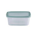 Set of 4 Everyday 1 Litre Plastic Food Boxes with Lids Wham Storage