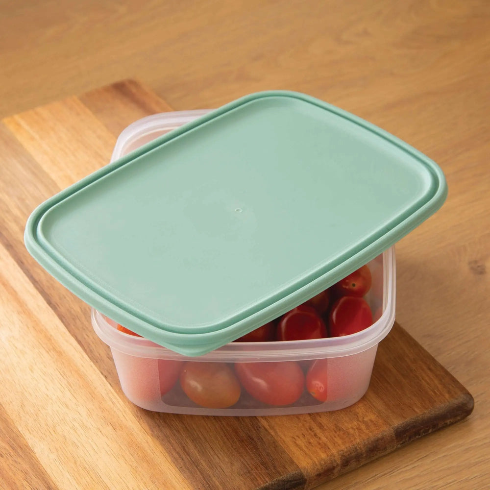 Set of 4 Everyday 1 Litre Plastic Food Boxes with Lids Wham Storage