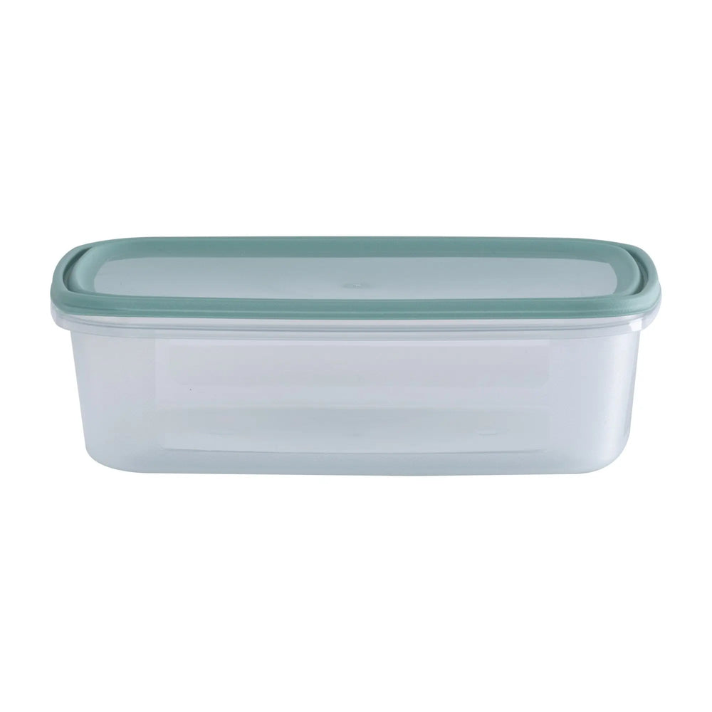 Set of 4 Everyday 1 Litre Plastic Food Boxes with Lids Wham Storage