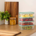 Set of 4 Everyday 1 Litre Plastic Food Boxes with Lids Wham Storage