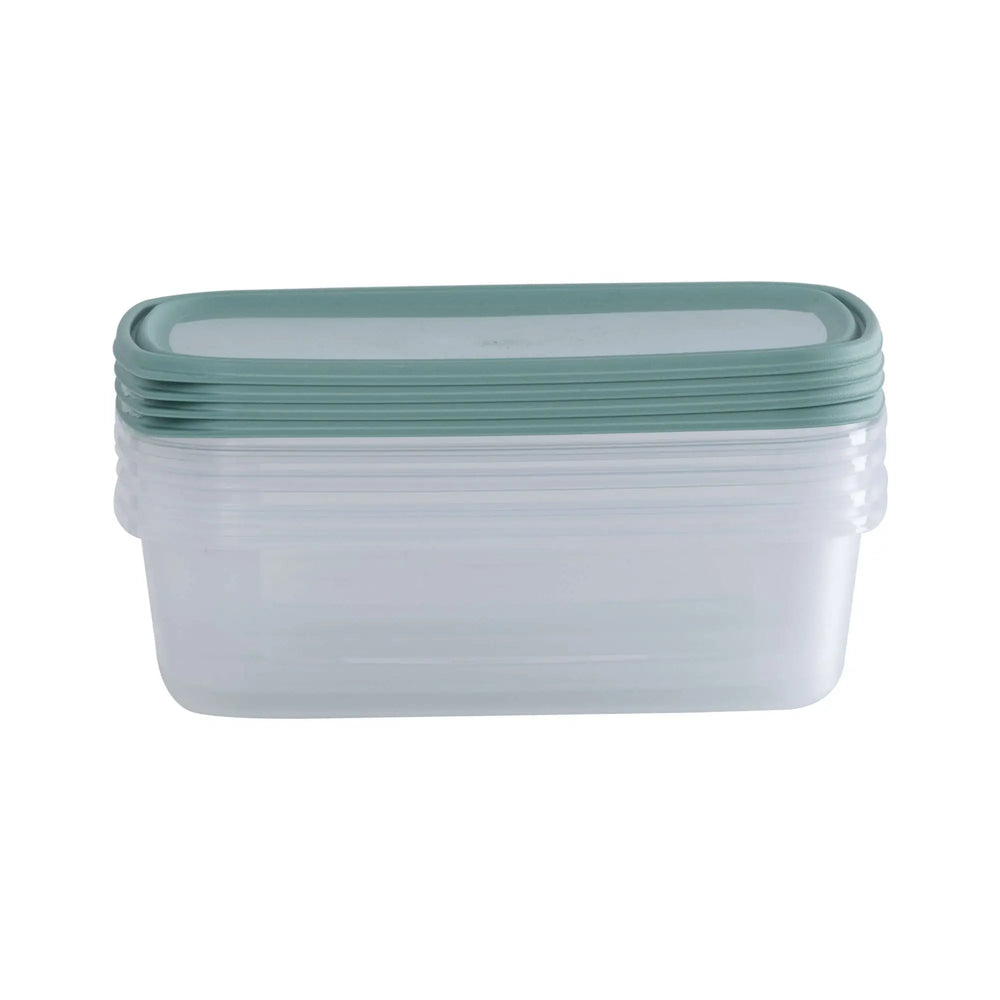 Set of 4 Everyday 1 Litre Plastic Food Boxes with Lids Wham Storage