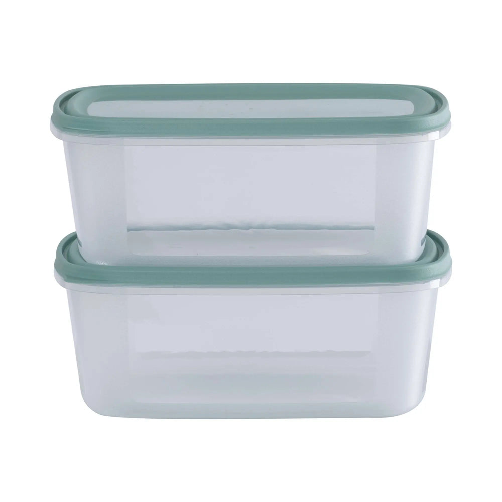Set of 2 Everyday 3 Litre Plastic Food Boxes with Lids Wham Storage