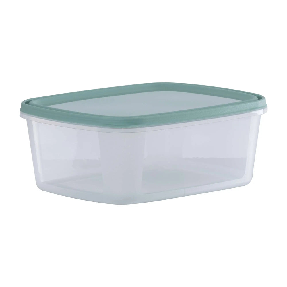 Set of 2 Everyday 3 Litre Plastic Food Boxes with Lids Wham Storage