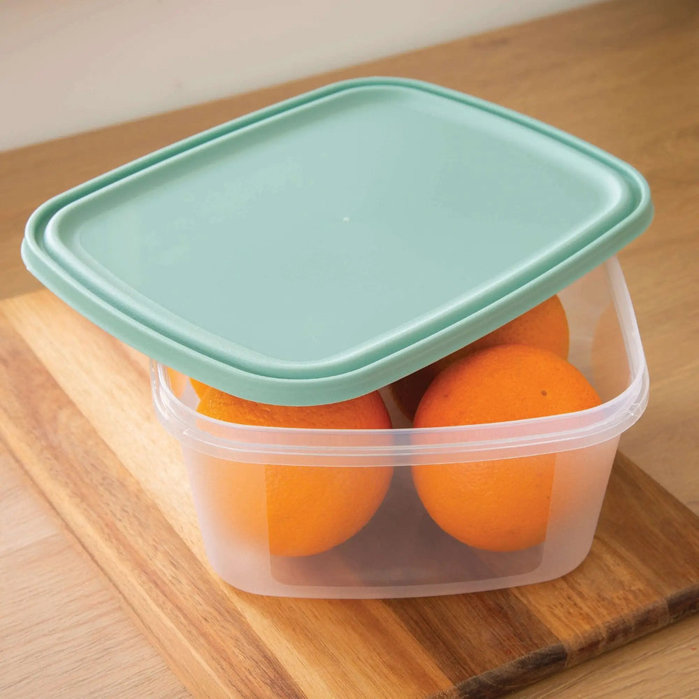 Set of 2 Everyday 3 Litre Plastic Food Boxes with Lids Wham Storage