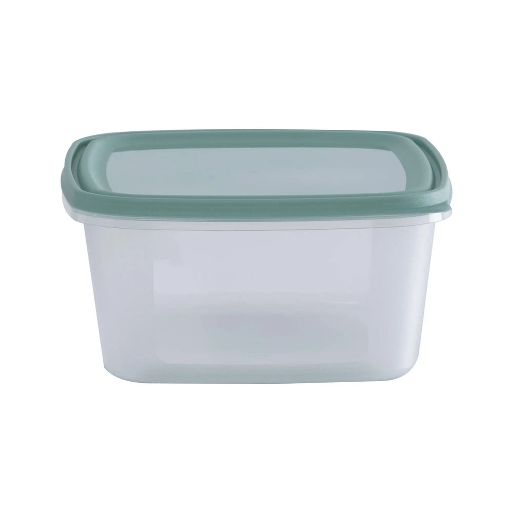 Set of 2 Everyday 3 Litre Plastic Food Boxes with Lids Wham Storage