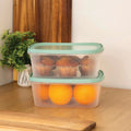 Set of 2 Everyday 3 Litre Plastic Food Boxes with Lids Wham Storage