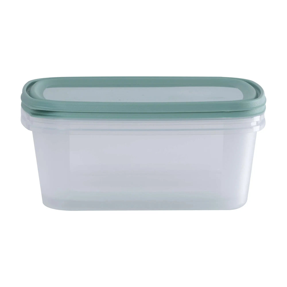 Set of 2 Everyday 3 Litre Plastic Food Boxes with Lids Wham Storage