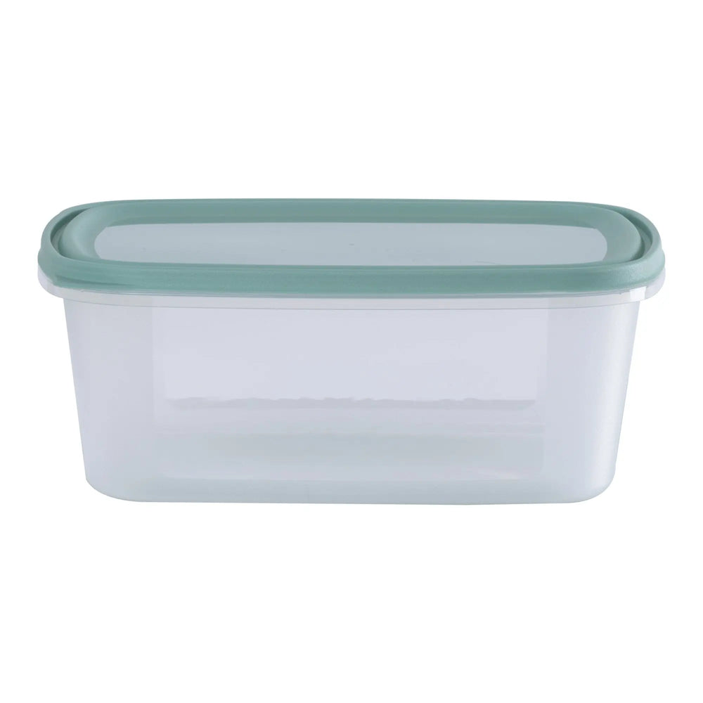 Set of 2 Everyday 3 Litre Plastic Food Boxes with Lids Wham Storage