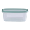 Set of 2 Everyday 3 Litre Plastic Food Boxes with Lids Wham Storage