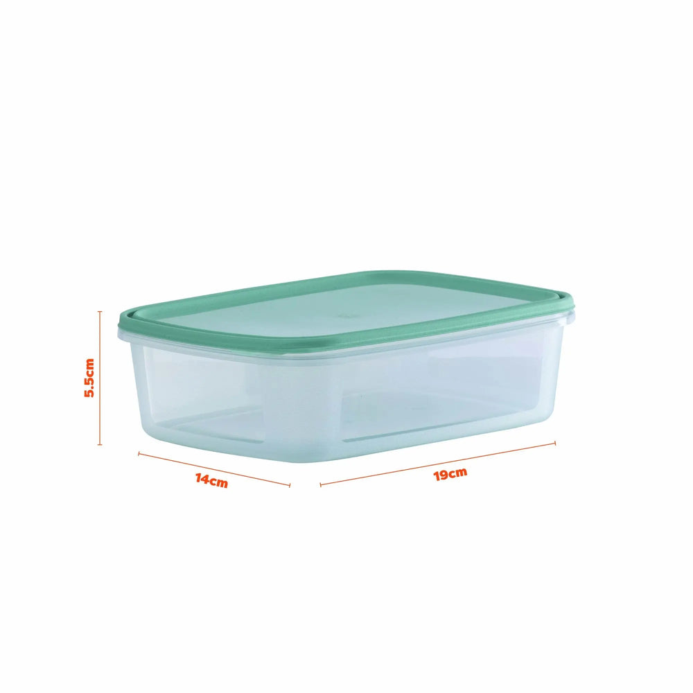 Set of 4 Everyday 1 Litre Plastic Food Boxes with Lids Wham Storage