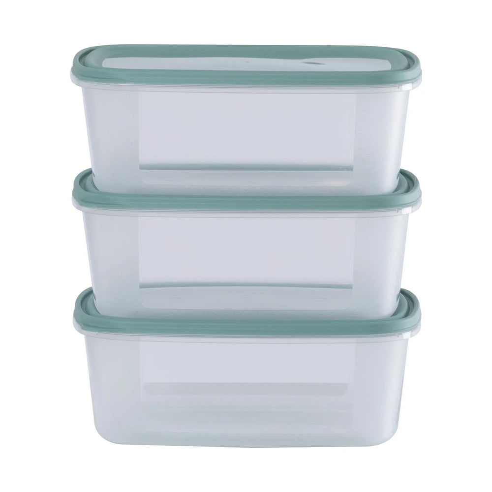 Set of 3 Everyday 2 Litre Plastic Food Boxes with Lids Wham Storage