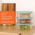 Set of 3 Everyday 2 Litre Plastic Food Boxes with Lids Wham Storage