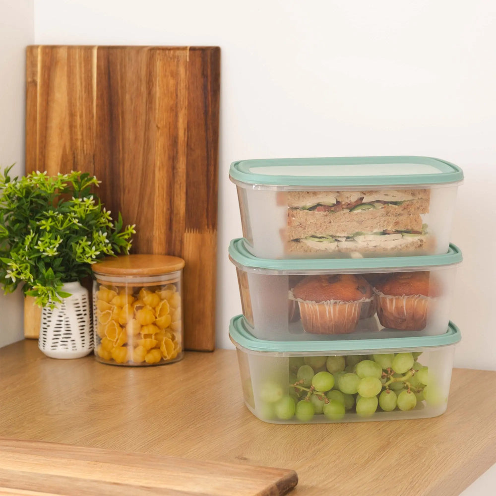 Set of 3 Everyday 2 Litre Plastic Food Boxes with Lids Wham Storage