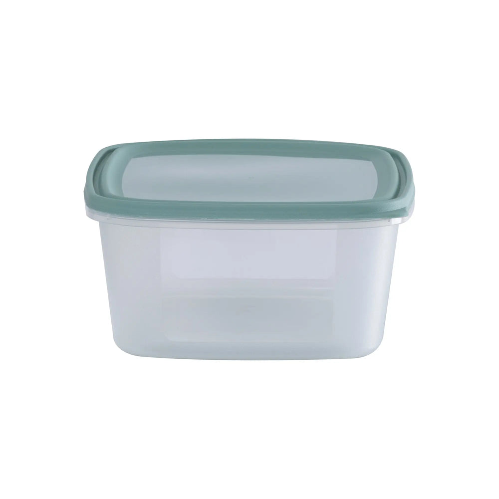 Set of 3 Everyday 2 Litre Plastic Food Boxes with Lids Wham Storage