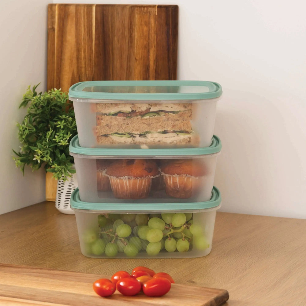 Set of 3 Everyday 2 Litre Plastic Food Boxes with Lids Wham Storage