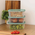 Set of 3 Everyday 2 Litre Plastic Food Boxes with Lids Wham Storage