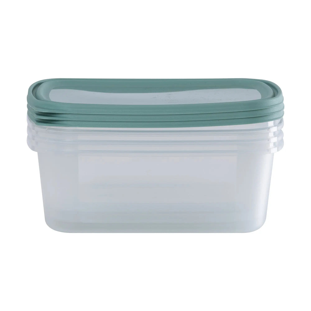 Set of 3 Everyday 2 Litre Plastic Food Boxes with Lids Wham Storage