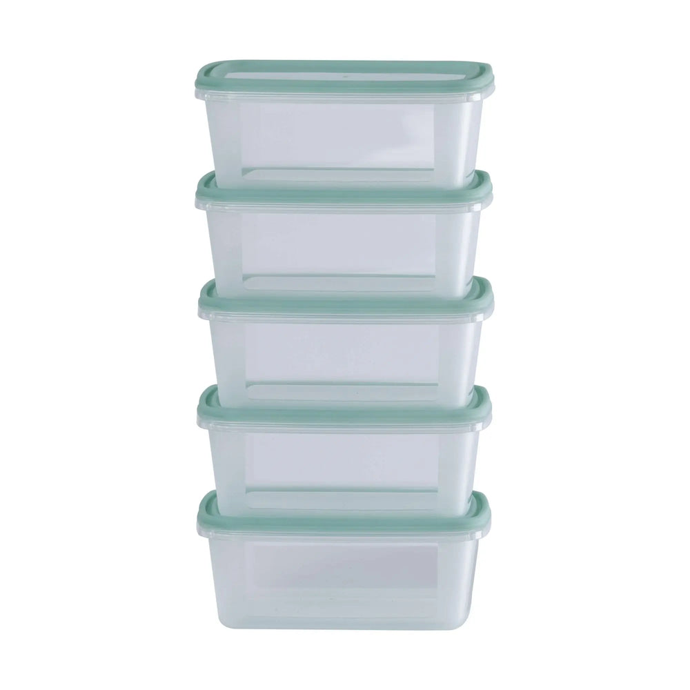 Set of 5 Everyday 0.5 Litre Plastic Food Boxes with Lids Wham Storage
