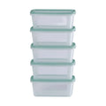 Set of 5 Everyday 0.5 Litre Plastic Food Boxes with Lids Wham Storage