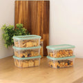 Set of 5 Everyday 0.5 Litre Plastic Food Boxes with Lids Wham Storage