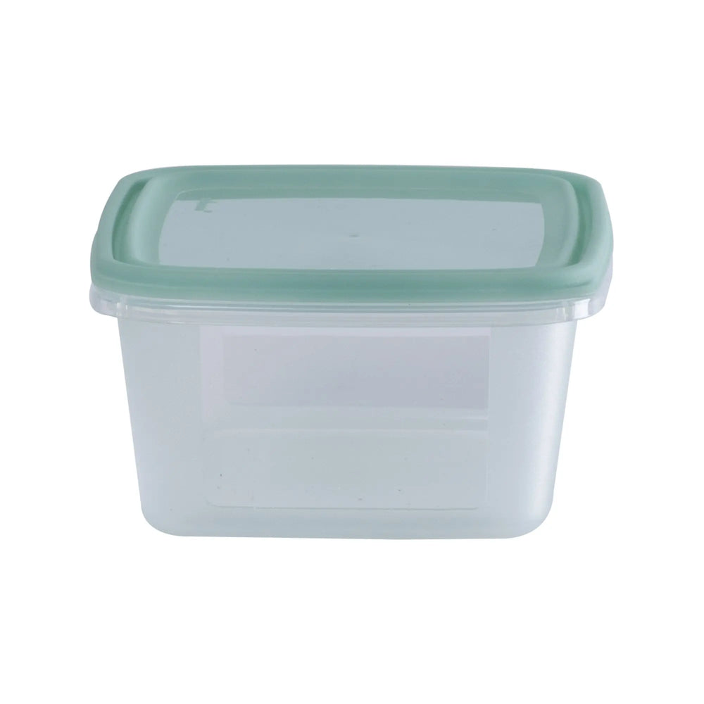 Set of 5 Everyday 0.5 Litre Plastic Food Boxes with Lids Wham Storage