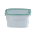 Set of 5 Everyday 0.5 Litre Plastic Food Boxes with Lids Wham Storage