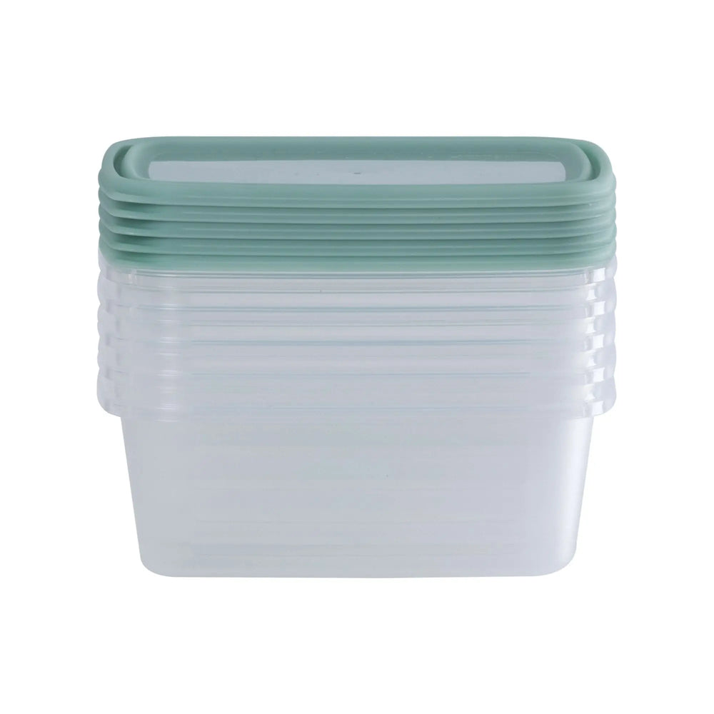 Set of 5 Everyday 0.5 Litre Plastic Food Boxes with Lids Wham Storage