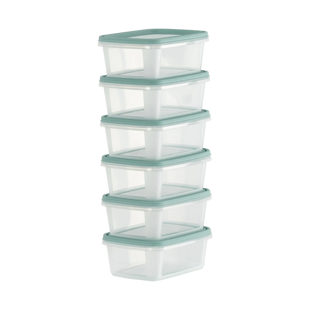 Set of 6 Everyday 0.25 Litre Plastic Food Boxes with Lids Wham Storage