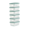 Set of 6 Everyday 0.25 Litre Plastic Food Boxes with Lids Wham Storage